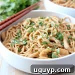 A perfectly portioned bowl of Thai Peanut Chicken Noodles, ready to be enjoyed, with chopsticks resting on the side