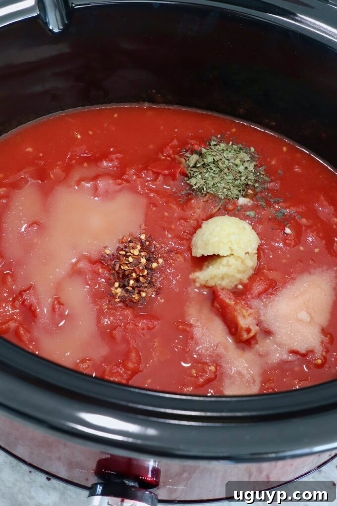tomato sauce in slow cooker topped with spices and herbs