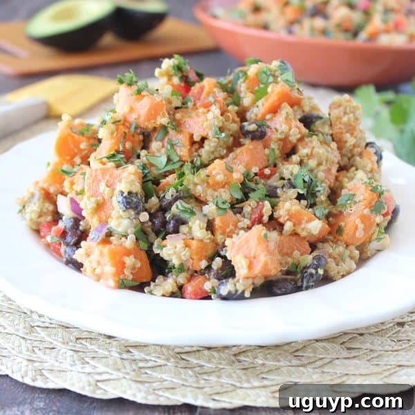 Hearty Mexican Sweet Potato Salad Recipe