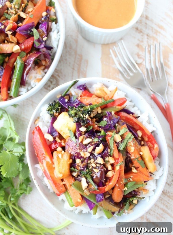 Thai Peanut Veggie Rice Bowl close up with fresh cilantro and peanuts