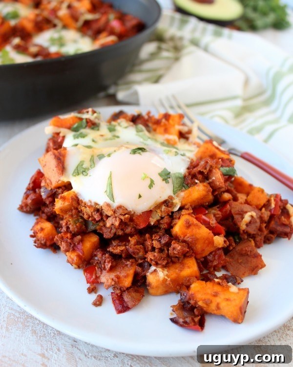 Mexican Sweet Potato Hash garnished with fresh cilantro and grated chipotle cheddar cheese.
