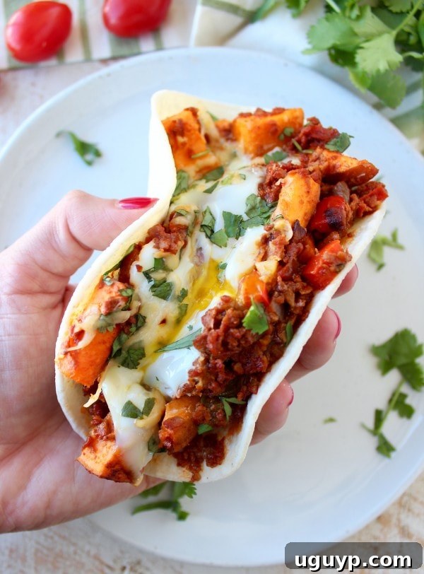 Close-up of a Mexican Sweet Potato Hash breakfast taco with a fried egg.