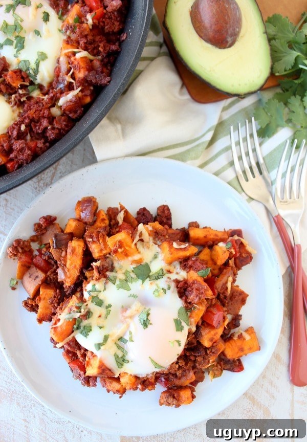 Mexican Sweet Potato Hash ready to be served, garnished with fresh cilantro.
