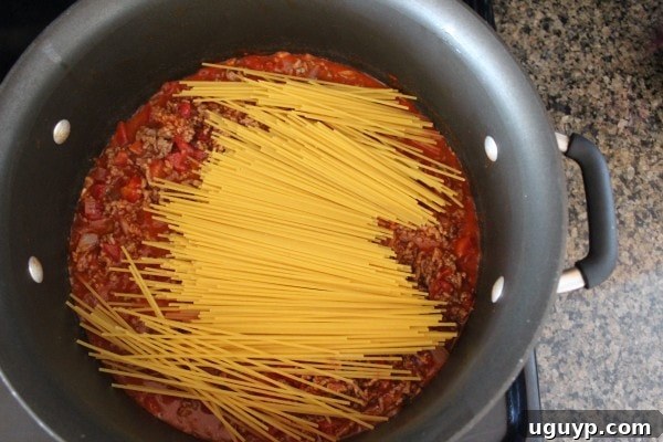 Uncooked spaghetti noodles broken in half and placed on top of the seasoned meat and red sauce mixture in a large pan.