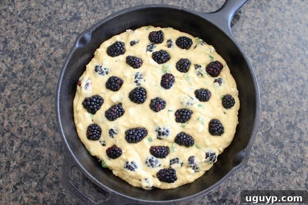 Blackberries placed on top of cornbread batter in a skillet