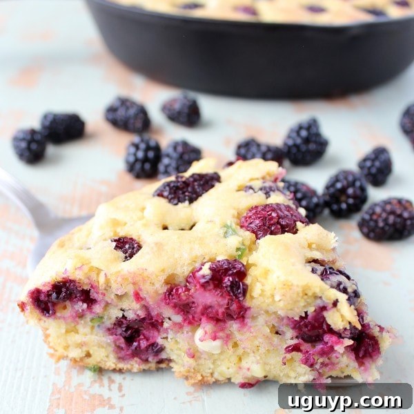 Blackberry Serrano Cornbread with fresh blackberries