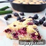Blackberry Serrano Cornbread Recipe Image