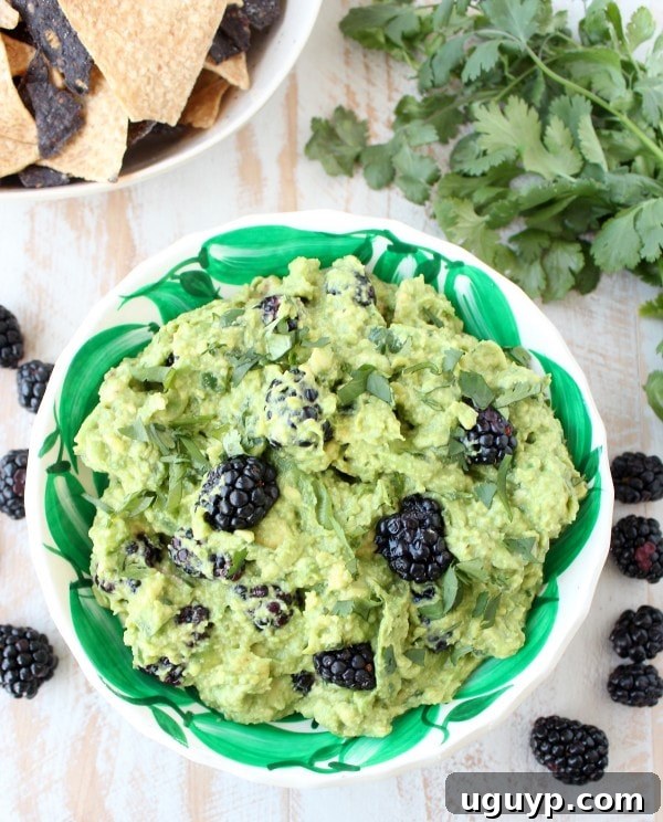 Blackberry Jalapeno Guacamole served with tortilla chips