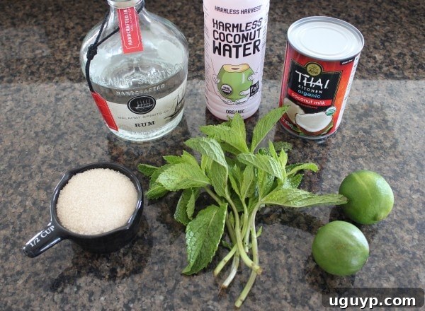 Ingredients for Frozen Coconut Mojito on a countertop