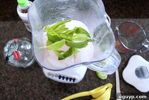 All ingredients loaded into a blender for a Frozen Coconut Mojito