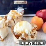 Crock Pot Dessert Fruit Taco Cups