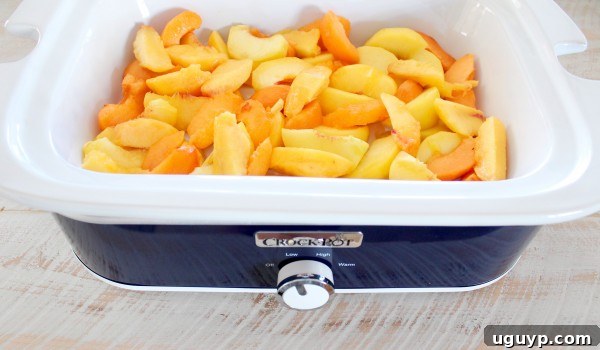 sliced peaches, nectarines and apricots in a Crock Pot