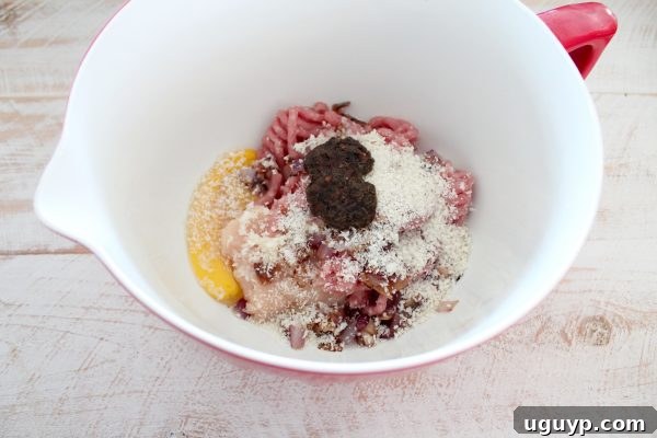 Mixing Ground Chicken, Pork, and Jerk Seasoning for Meatballs