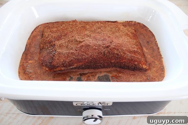 Seasoned beef brisket sitting in a slow cooker, surrounded by liquid, ready for cooking.