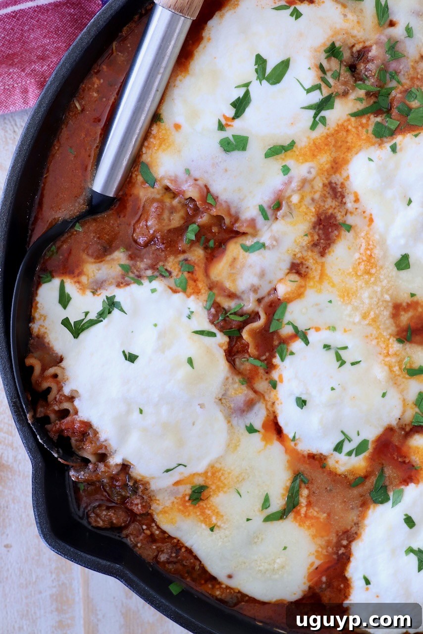 One pot lasagna, beautifully cooked in a skillet, topped with melted cheese and fresh basil, ready for serving with a spoon.