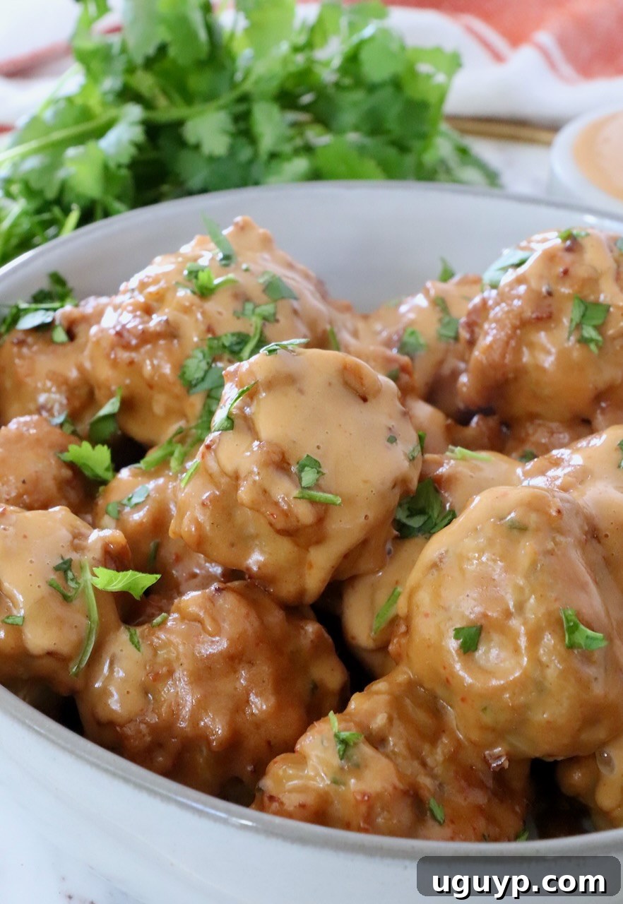 Close-up of a bowl filled with succulent Thai Turkey Meatballs generously coated in rich, creamy peanut sauce.
