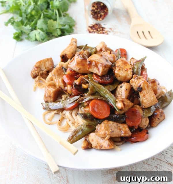 Delicious Gluten-Free Kung Pao Chicken Ready in Minutes