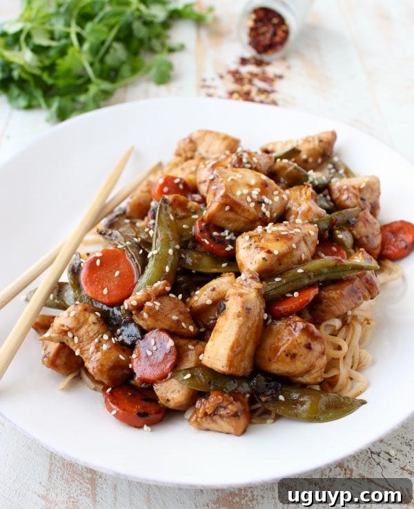 Gluten-Free Kung Pao Chicken Served with Rice