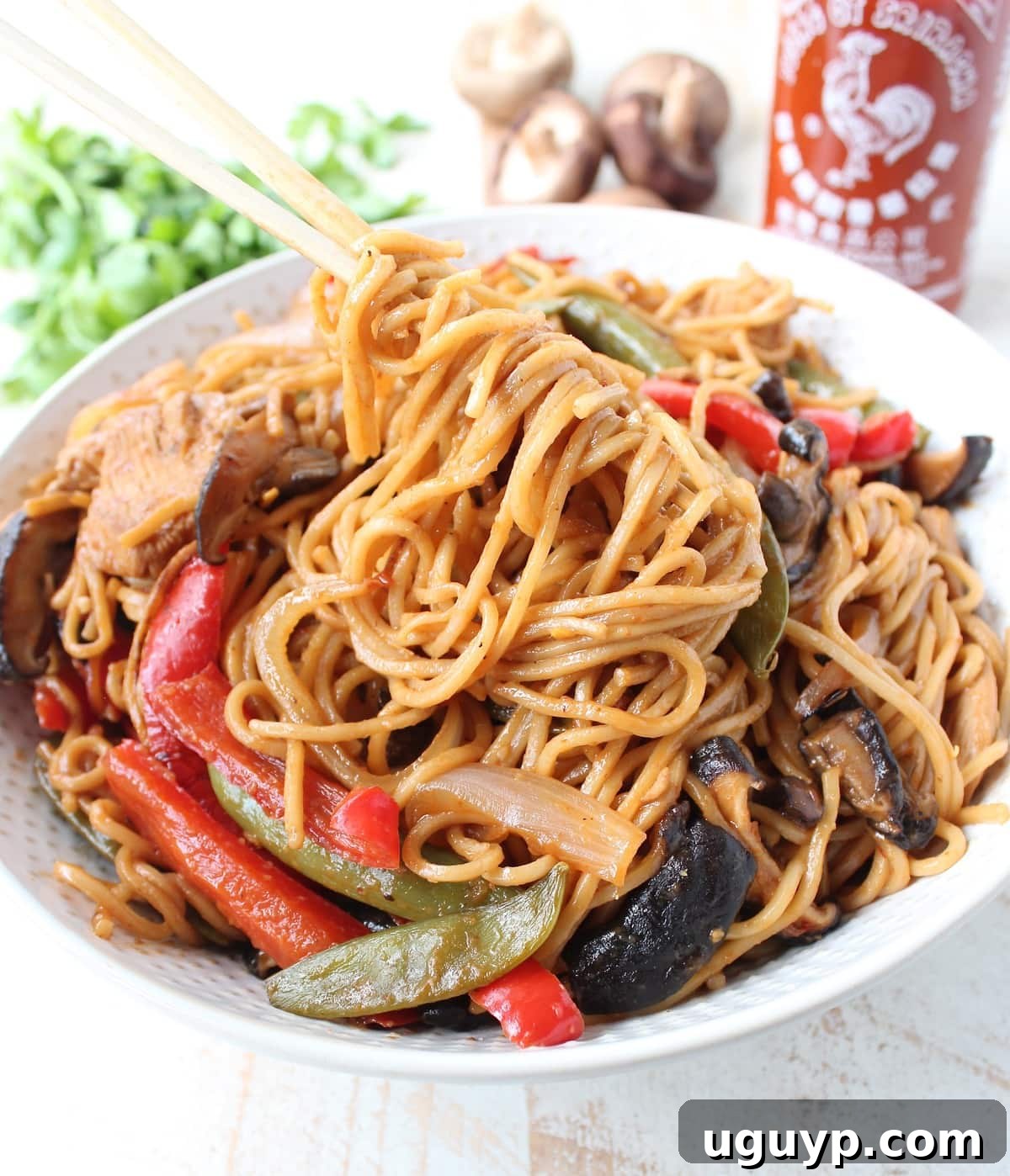 noodles lifted out of a bowl of chicken lo mein with chopsticks