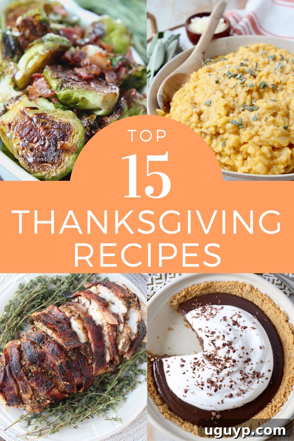 Collage of Thanksgiving dishes including roasted Brussels sprouts, creamy squash risotto, sliced roast turkey, and chocolate pie with whipped topping. Text overlay reads "Top 15 Thanksgiving Recipes."