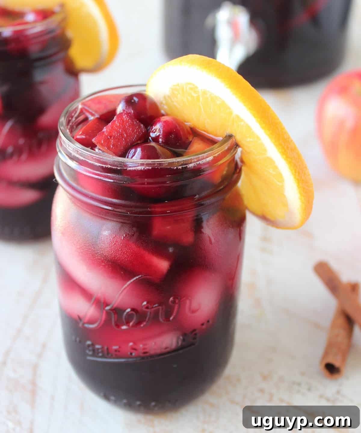 Cranberries and apples give this delicious sangria recipe tons of great fall flavors, mix up a pitcher to celebrate the holidays with friends and family!