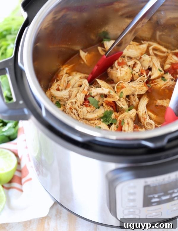 Flavorful shredded taco chicken inside an Instant Pot, with red tongs and fresh cilantro nearby, signifying a quick and delicious meal preparation.