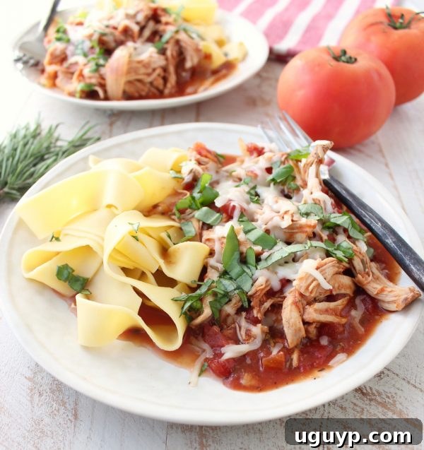 Shredded chicken covered in red sauce, cheese, and herbs with wide pappardelle pasta on a white plate, ready to be served.