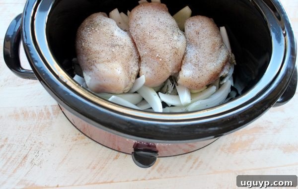 Seasoned boneless, skinless chicken breasts placed on a bed of sliced onions in a slow cooker.