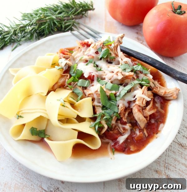 A white plate showcasing cooked pappardelle pasta topped with generous amounts of shredded chicken ragu, melted cheese, and fresh herbs.
