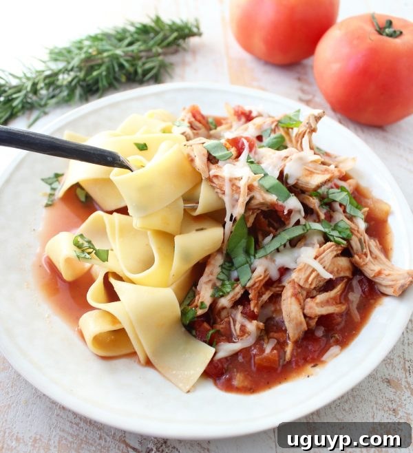 A beautifully presented white plate featuring a mound of shredded chicken ragu, melted cheese, and fresh herbs over pasta, ready to be enjoyed.