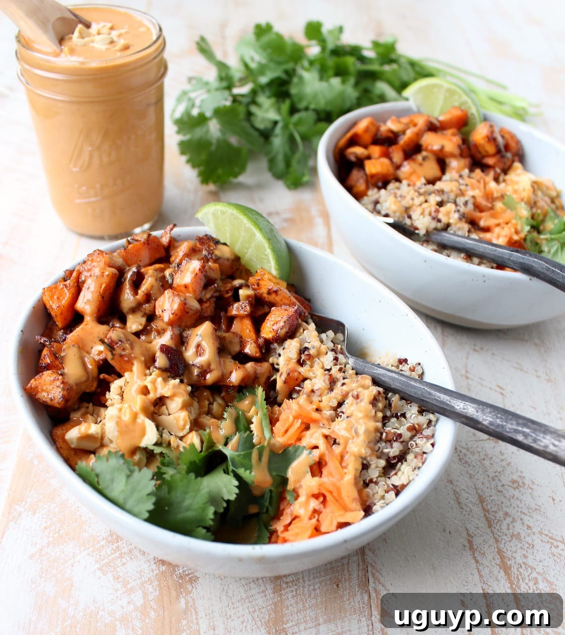 Vibrant roasted sweet potatoes with quinoa, shredded carrots, and fresh cilantro, generously drizzled with rich Thai peanut sauce in a healthy vegan buddha bowl, ready to be enjoyed.