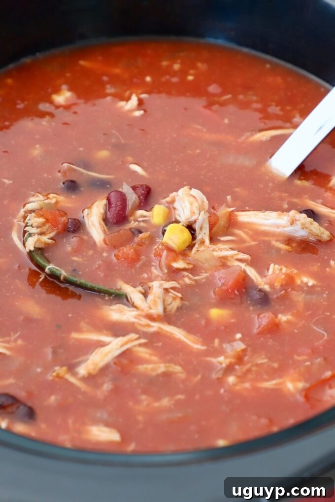 Chicken tortilla soup simmering in a crock pot, nearly ready to be served, with a ladle resting nearby.