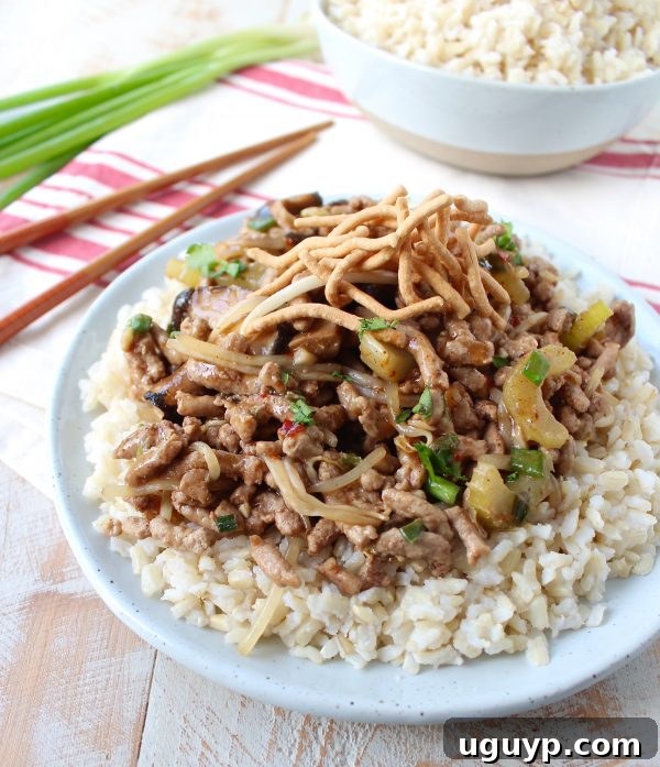 Delicious Pork Chop Suey served over white rice, garnished with fresh scallions and crispy chow mein noodles.