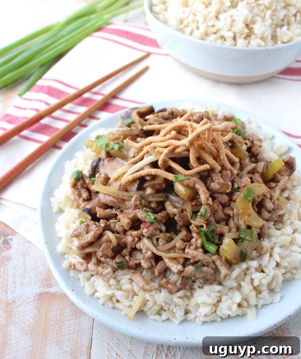 A bowl of hot Pork Chop Suey with crispy noodles and fresh scallions, ready to be enjoyed.