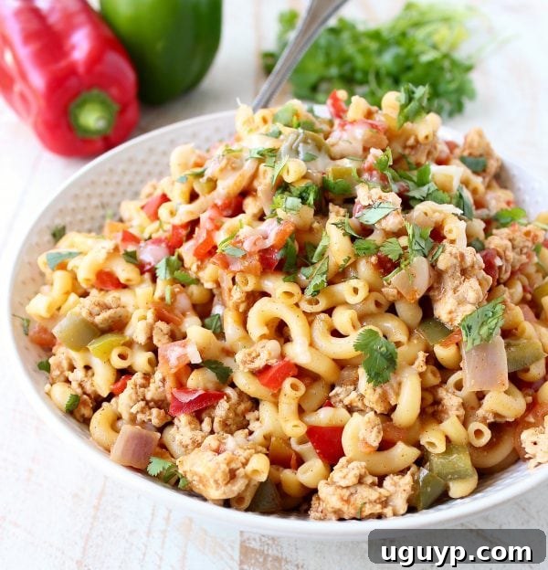 A vibrant close-up of One Pot Chicken Fajita Pasta, showcasing tender chicken, colorful bell peppers, and macaroni noodles coated in a rich, spicy sauce, ready to be served.