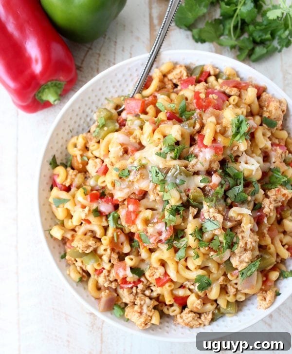 Overhead view of a large pot filled with One Pot Chicken Fajita Pasta, featuring bright red and green bell peppers, golden macaroni, and succulent chicken, steaming hot and freshly made.