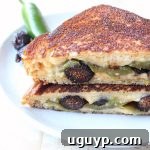 Roasted jalapeños, dried figs and spicy cheddar cheese are combined in this delicious, sweet and spicy, vegetarian jalapeno grilled cheese sandwich recipe!