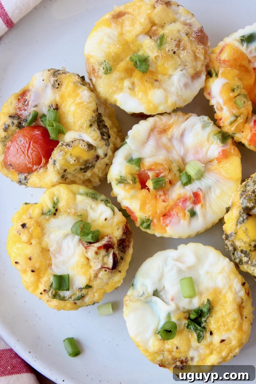 Perfectly baked egg muffins presented on a pristine white plate, showcasing their golden-brown edges and vibrant fillings.