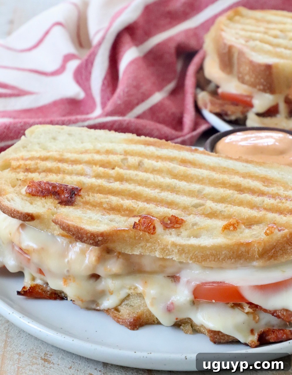 chicken panini sandwich on plate