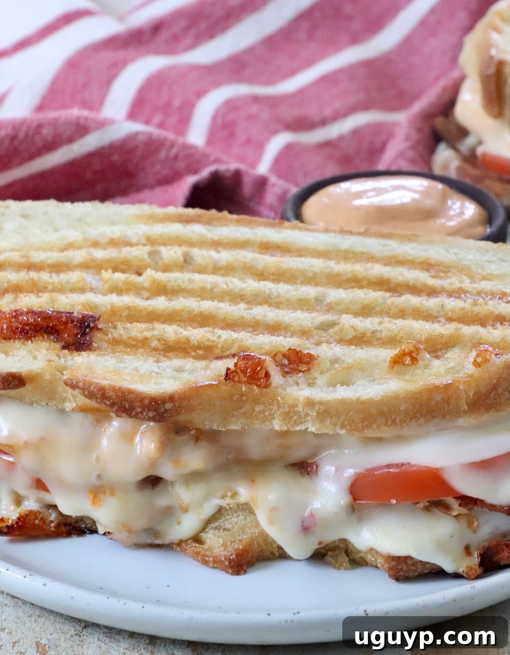 chicken panini sandwich on plate