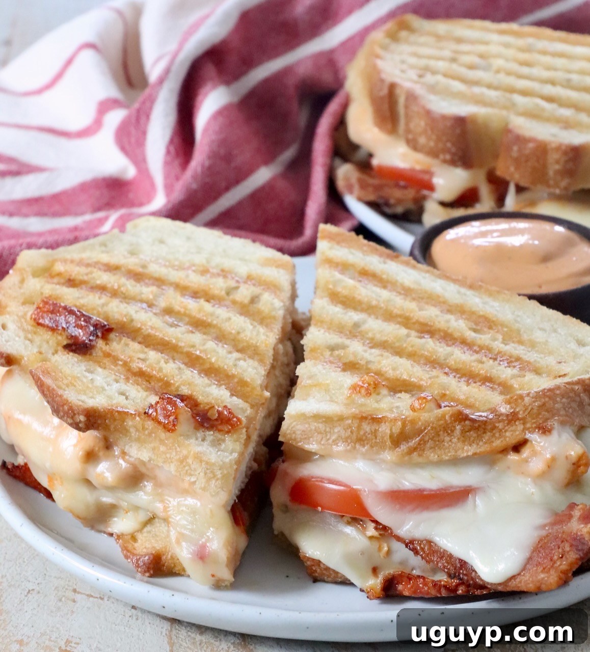 chicken panini sliced in half on plate
