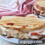 chicken panini on plate