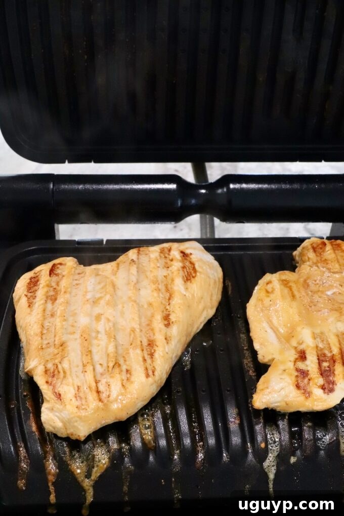 grilled chicken breasts in an indoor grill