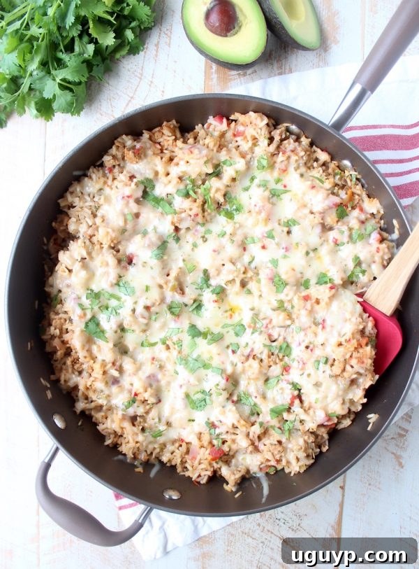 A close-up shot of the Turkey Taco Rice Skillet, showing the rich texture of the seasoned ground turkey, rice, and colorful ingredients, with a hint of melted cheese.