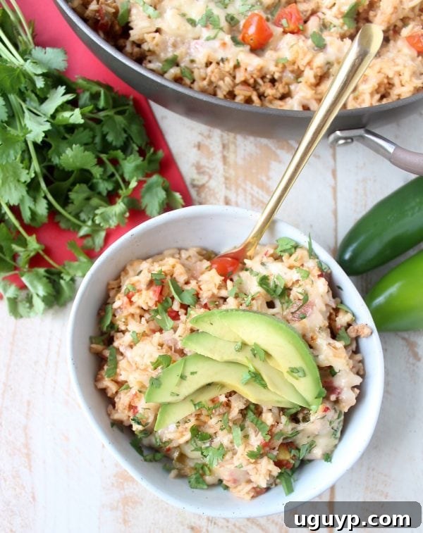 An inviting overhead shot of the Turkey Taco Rice Skillet, showcasing its rich colors and textures, making it an appealing and delicious dinner option.