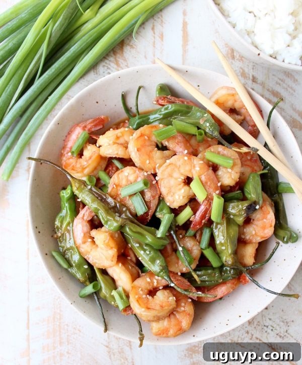 Freshly cooked Shishito Shrimp Stir Fry with peppers and shrimp in a large pan