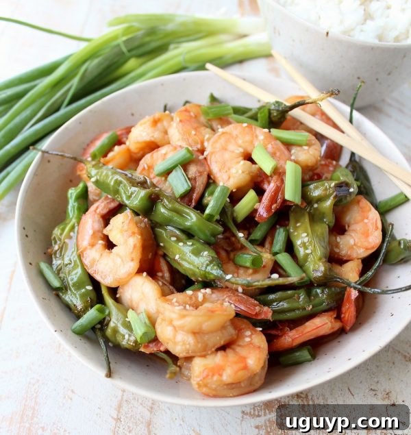 Close-up of fresh shishito peppers and plump shrimp cooking in a pan