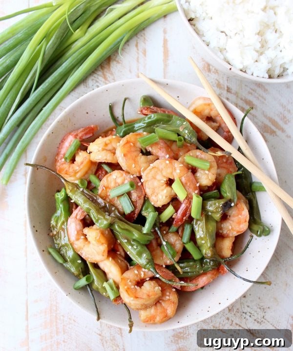 Shishito Shrimp Stir Fry garnished with sesame seeds and green onions