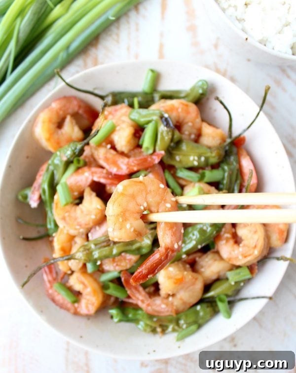 Shishito Shrimp Stir Fry in a serving bowl, garnished