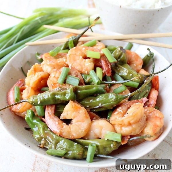 Garnished plate of Shishito Shrimp Stir Fry, ready to be served